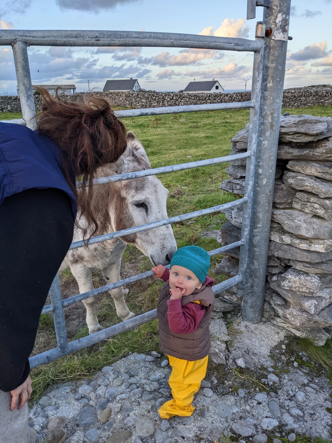 Darragh gets the balance right on Inis Oirr